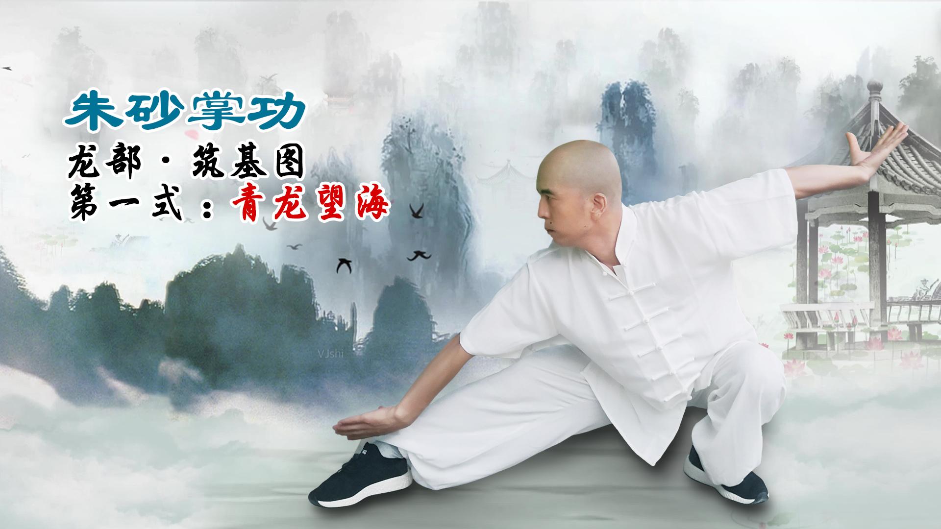 传统健身养生功法朱砂掌功龙步筑基图第二式青龙望海