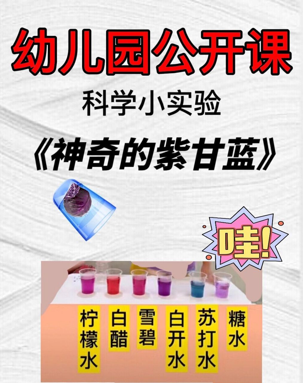 97紫甘蓝变色游戏太神奇6015大班科学实验 96配套资料96