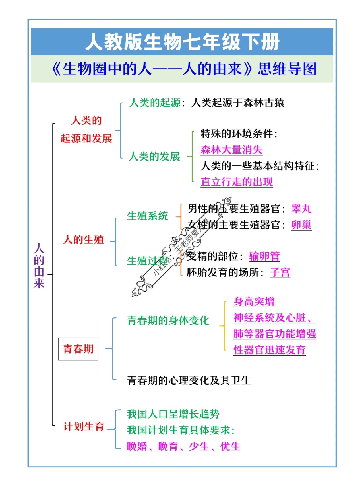 七年级生物下册《人的由来》思维导图