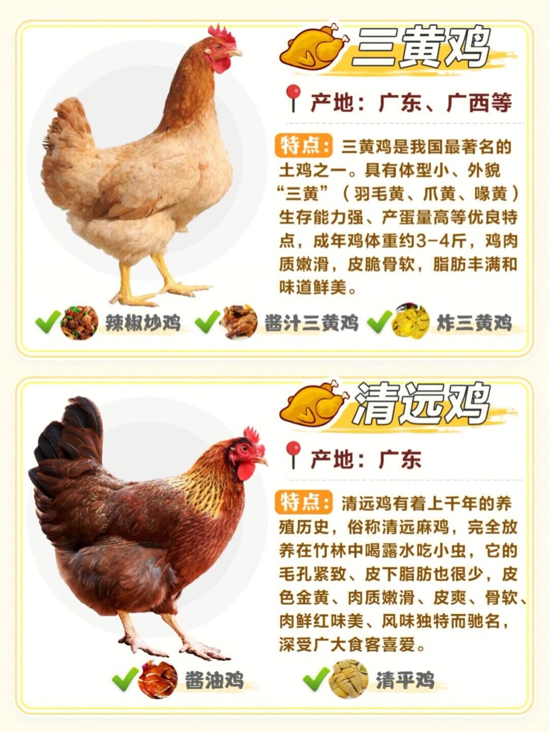 常见土鸡种类合集,中国有土鸡多少种?