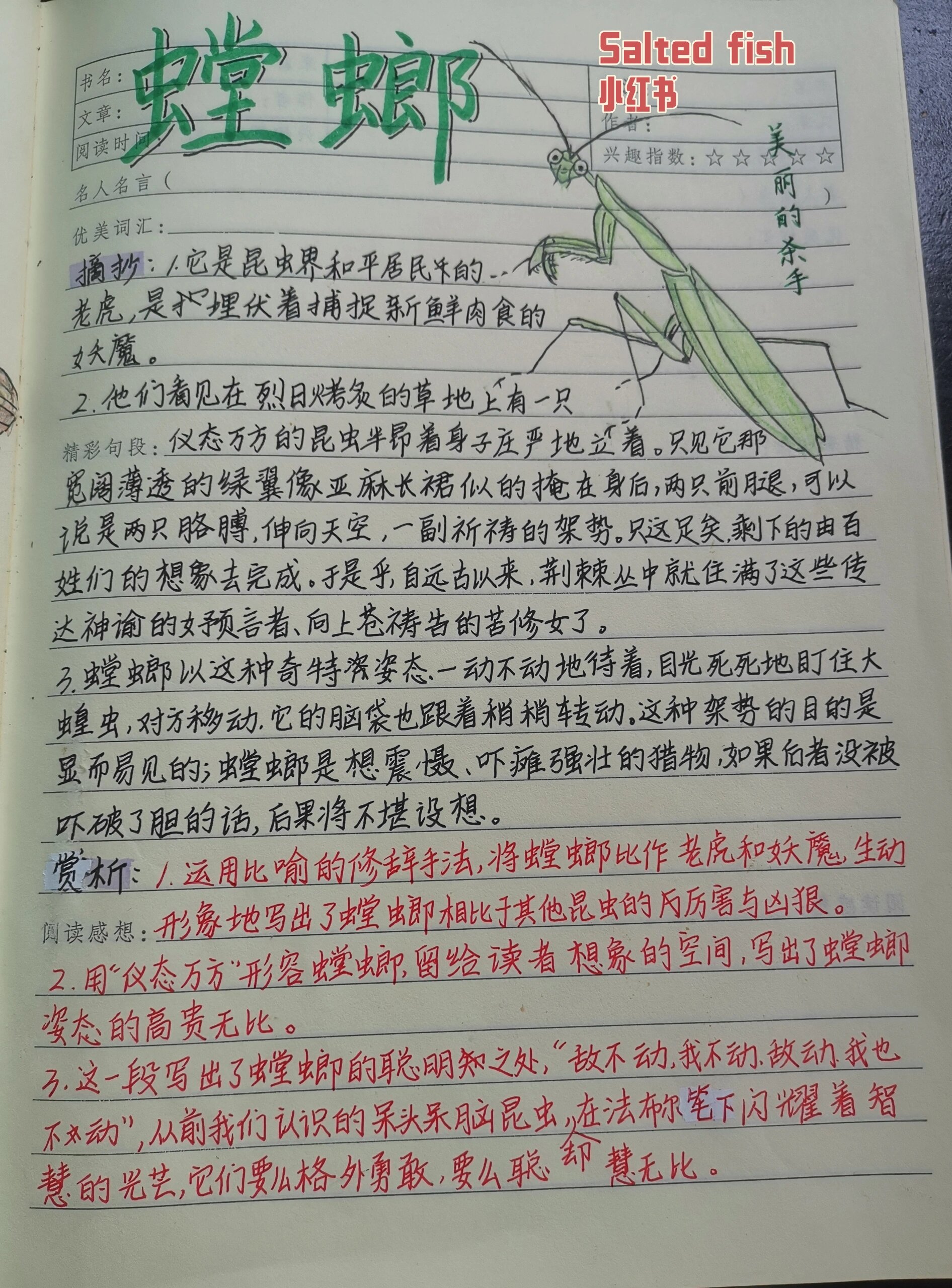 昆虫记小阔条纹蝶批注图片