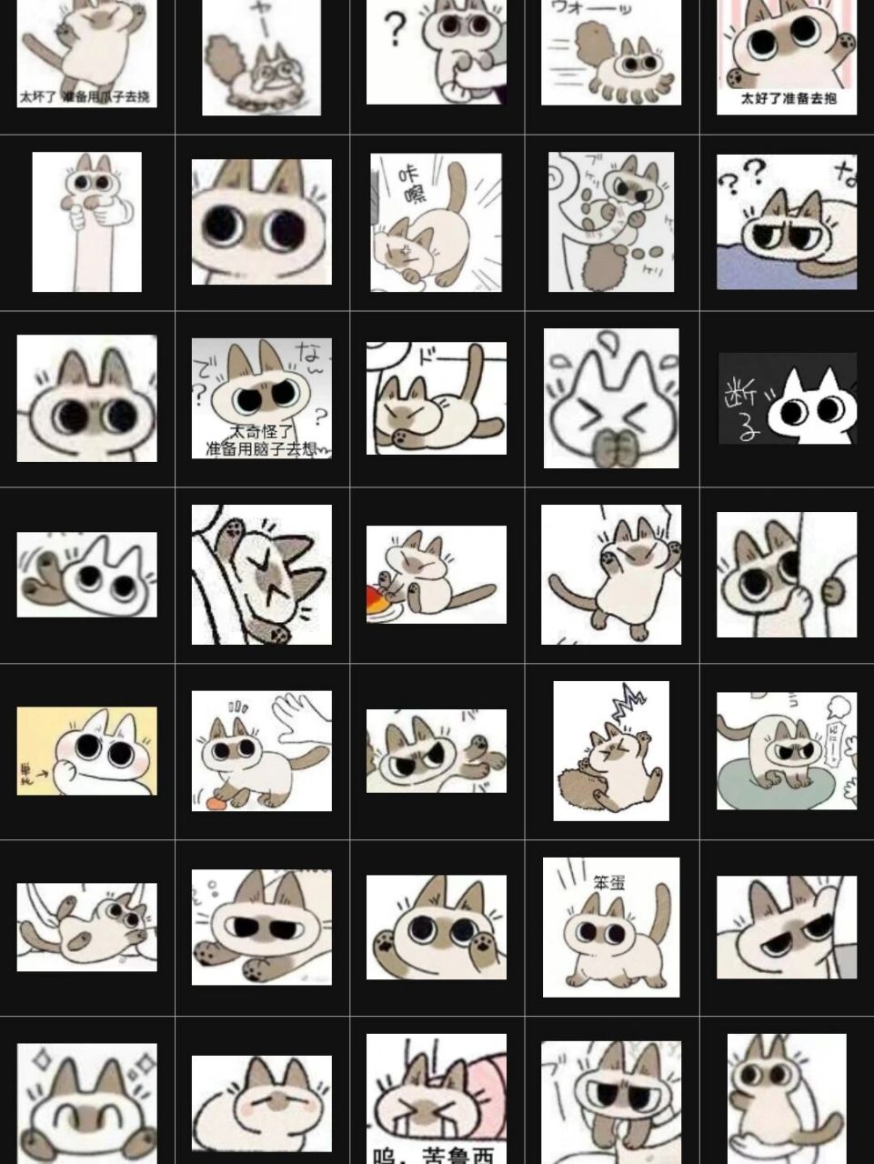 (微信表情) 暹罗猫小豆泥 可爱表情包 小豆泥就是坠可爱的!