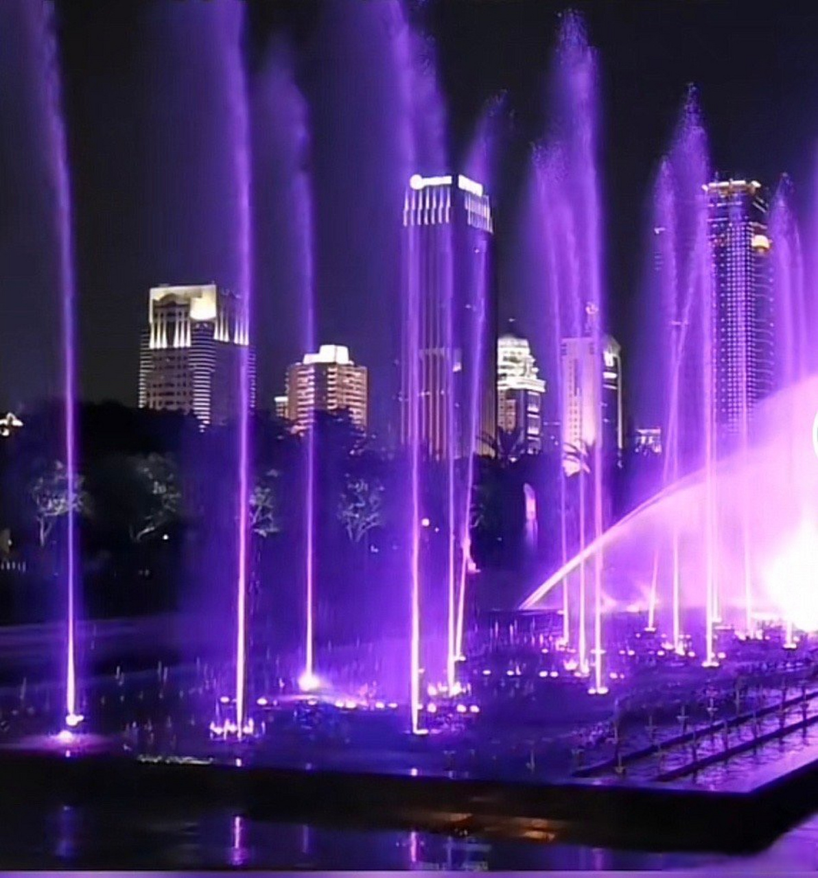 厦门白鹭洲灯光秀有多绝# 厦门白鹭洲灯光秀是一个备受瞩目的景点,每