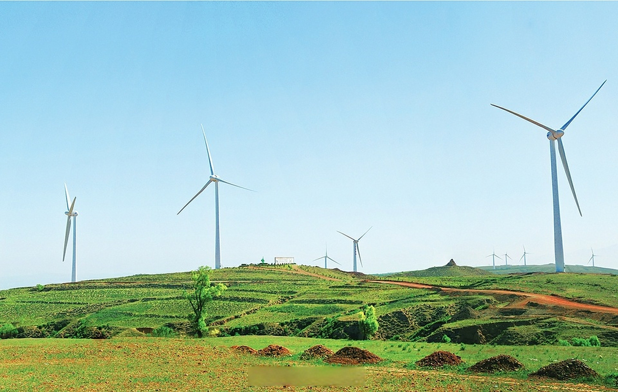 【清洁电能增添无限生机】8月9日,大同市新荣区畅家岭巍然挺立的座座