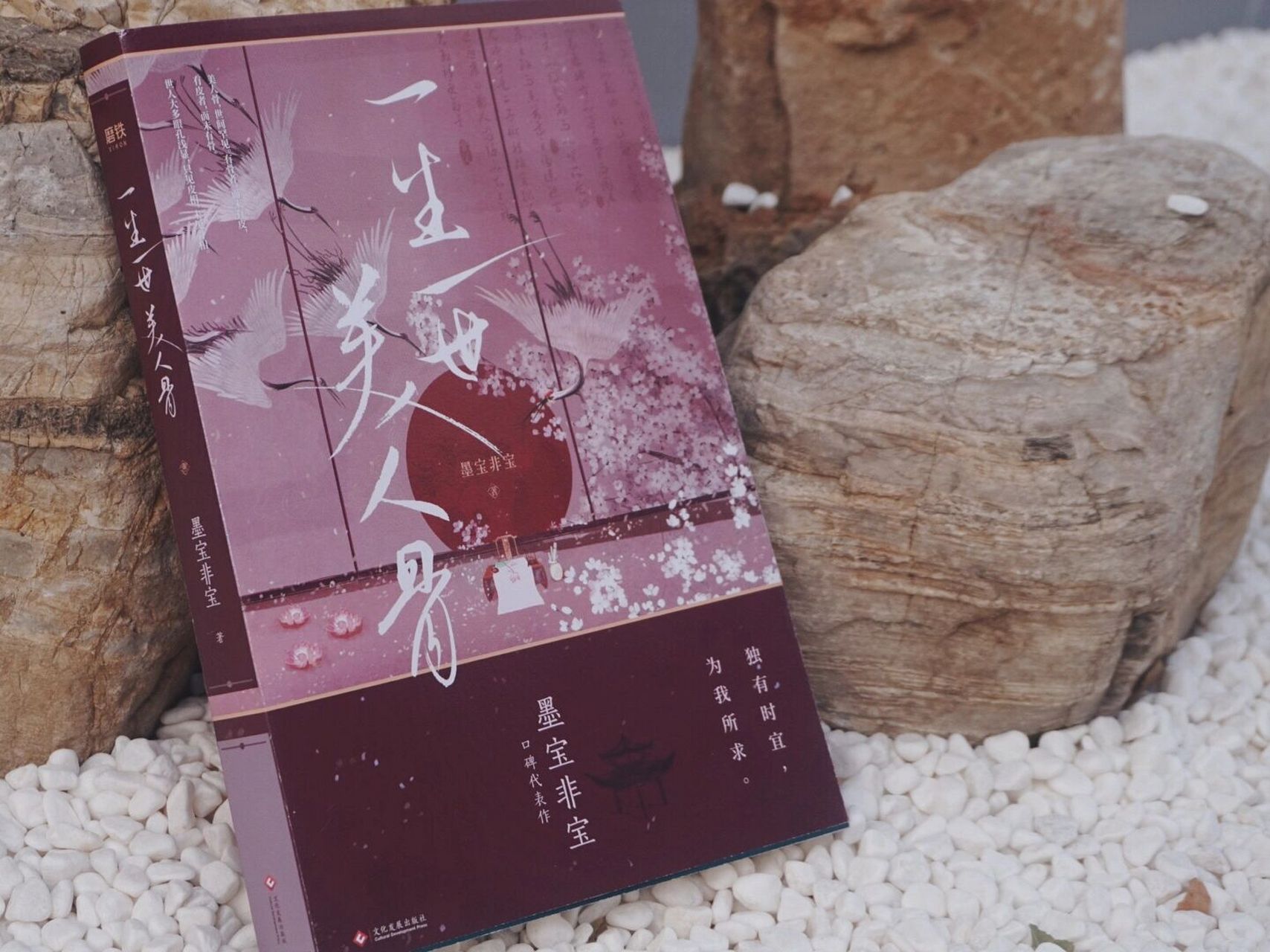 99 98《白玫瑰庄园》作者:南星山9215 有悬疑的剧情加持!