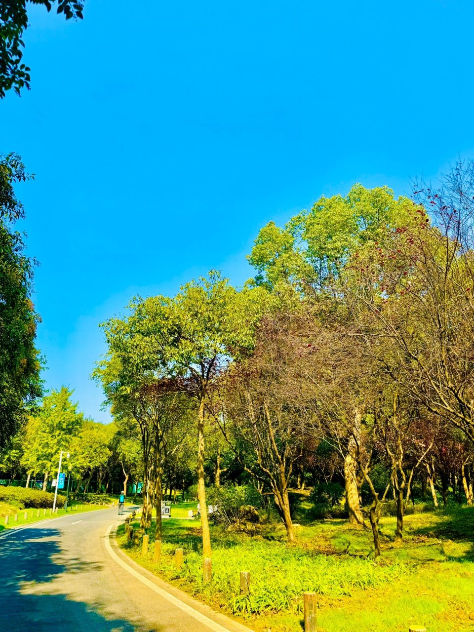 打卡无锡宝界山林公园99 周末放假想找个地方逛一逛呼吸一下新鲜