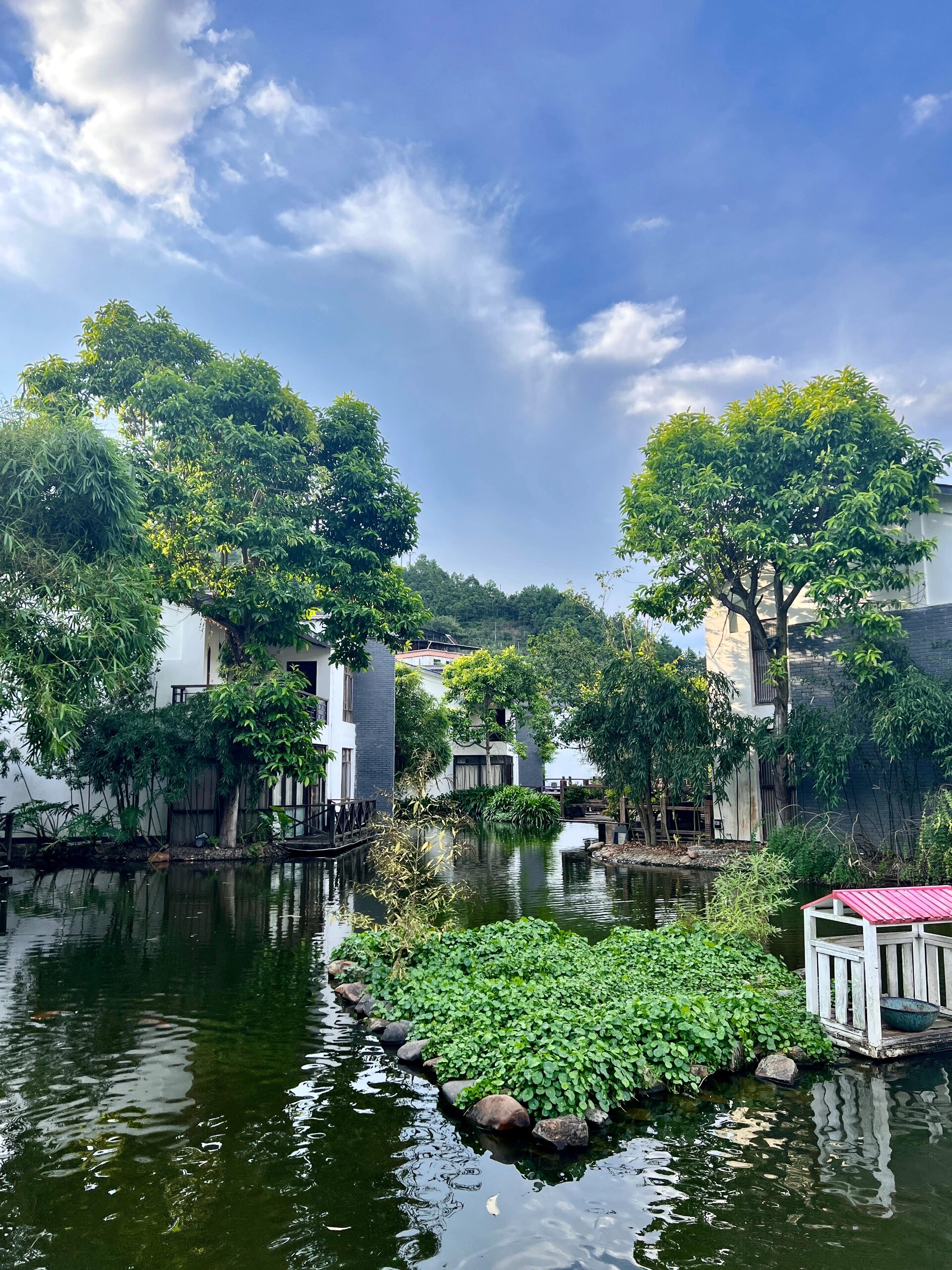 一个没有冷水的地方!河源热水镇