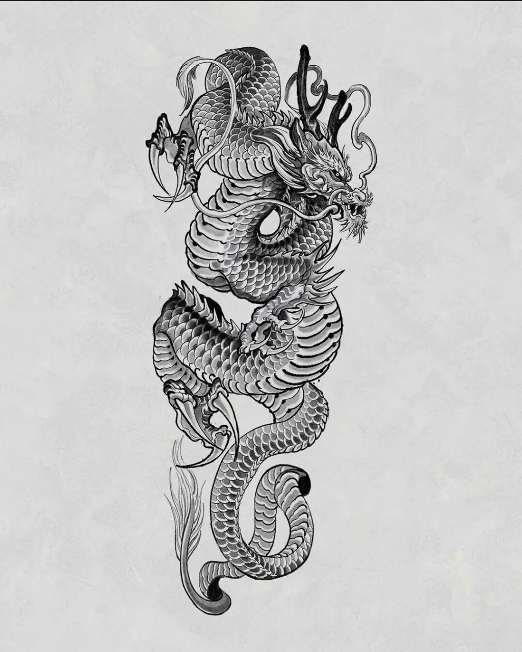 龙纹身 西方龙与东方龙 同样帅