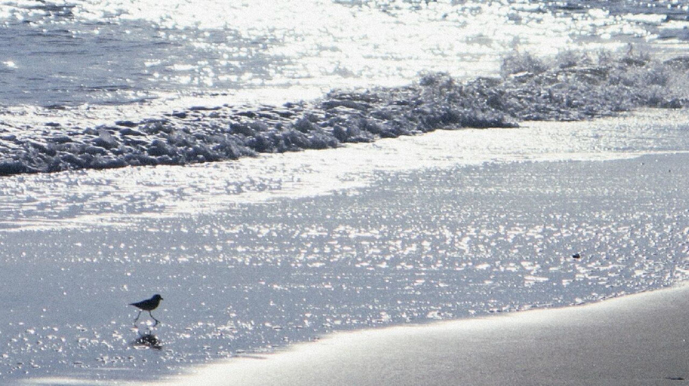 今天的海南文昌 今天天气很好