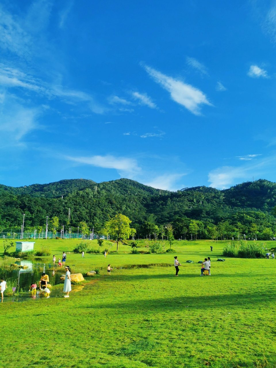 凤凰山下的人才林公园,宝安宝藏亲子溜娃地 这是片宝藏公园,很适合溜