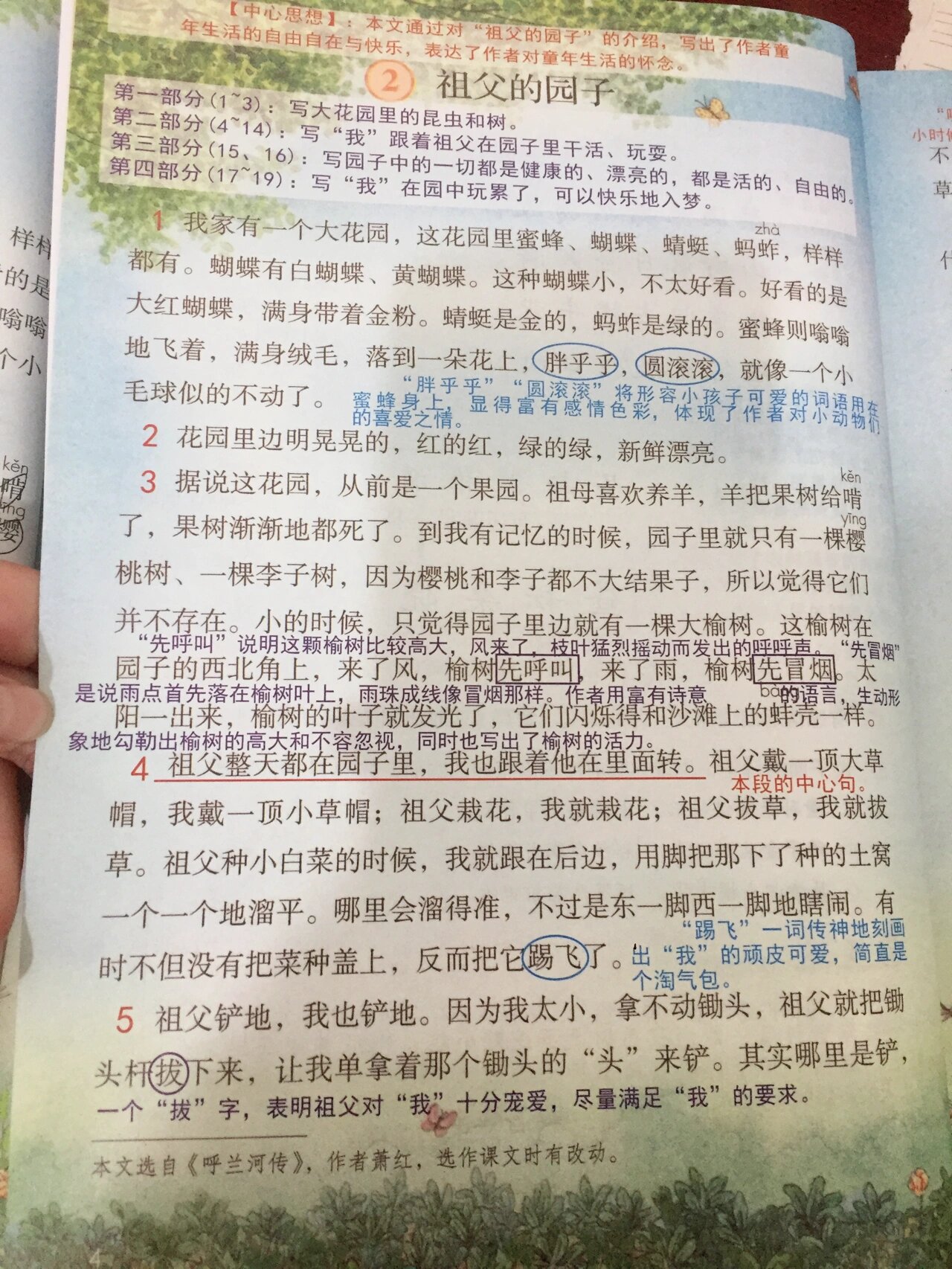 祖父的园子的笔记图片