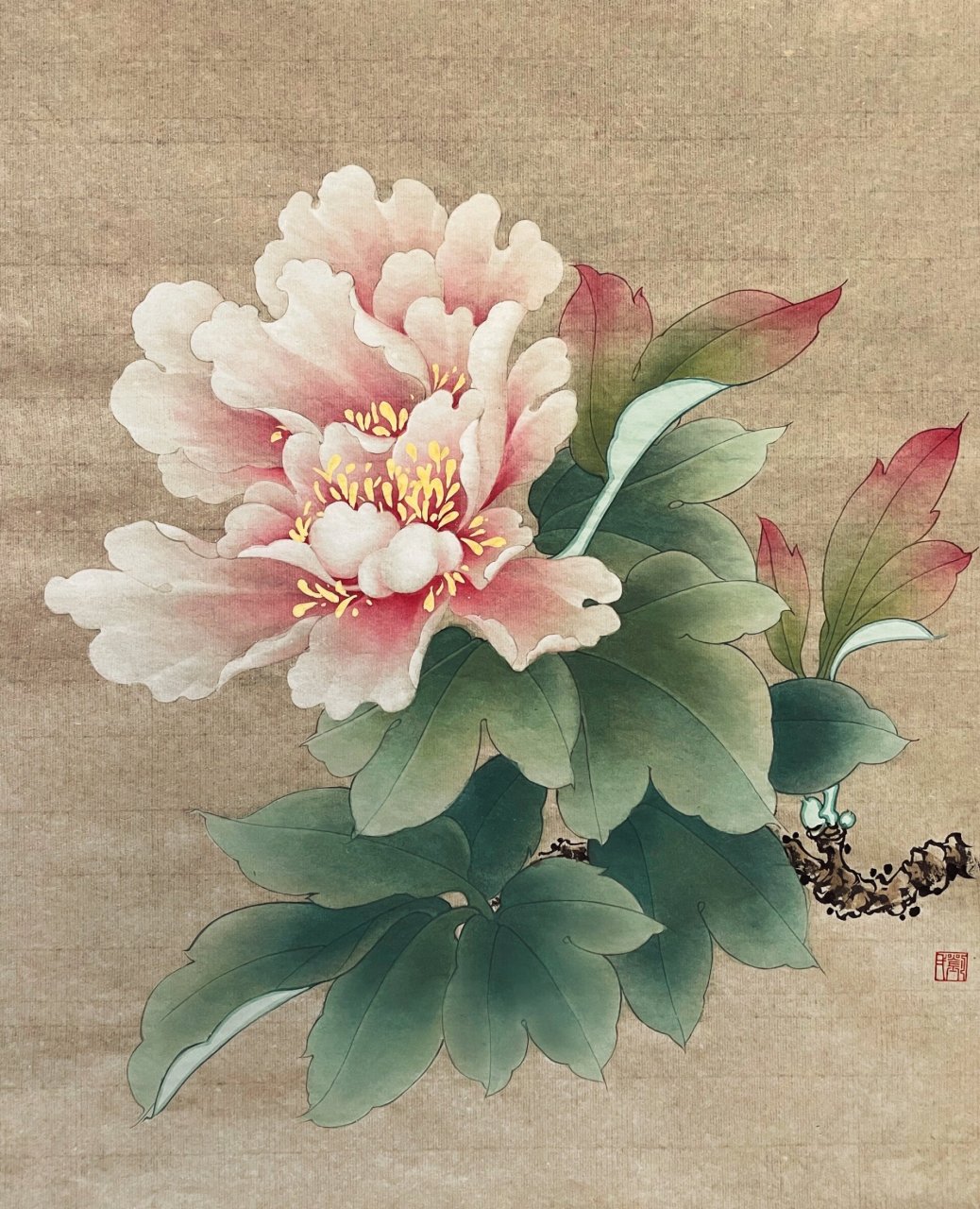 近日工笔画新稿|牡丹花 中国的写实 也是很浪漫的 从练习工笔画的过程