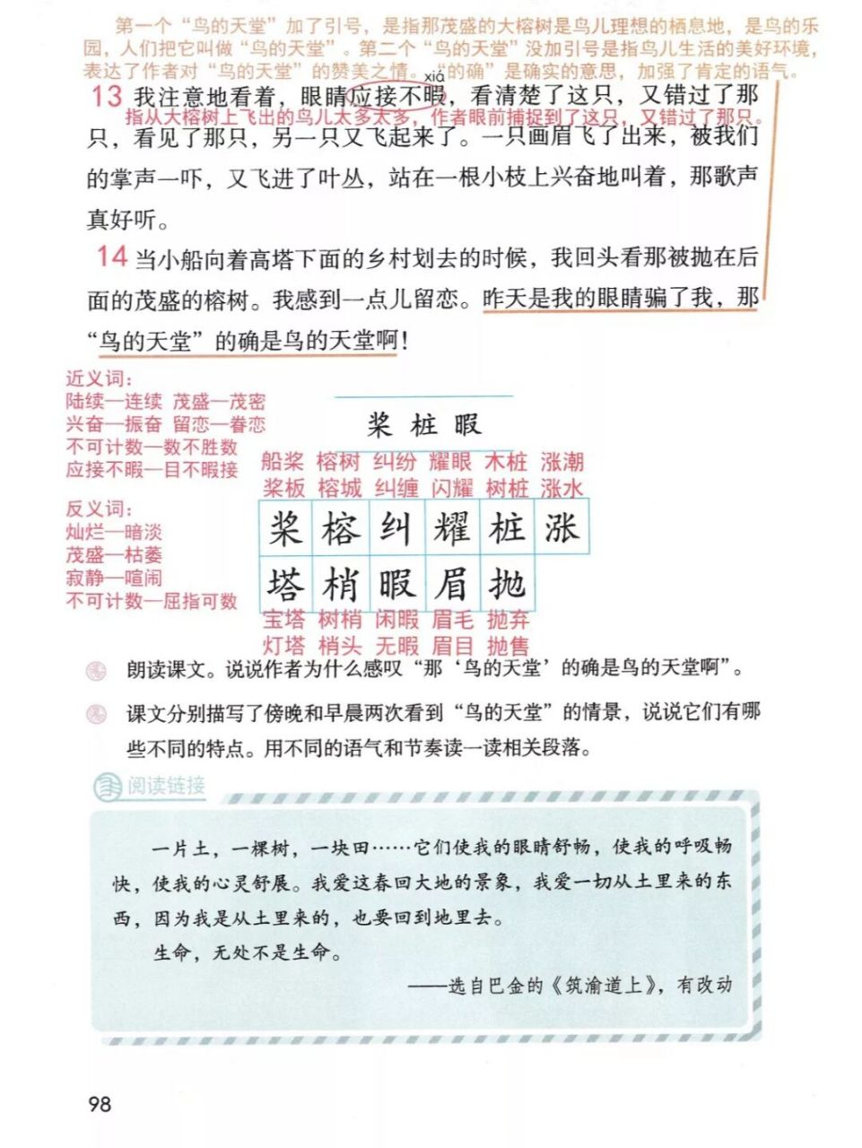 五上第23课《鸟的天堂》课堂笔记 #小学语文怎么学# #语文笔记# #暑期