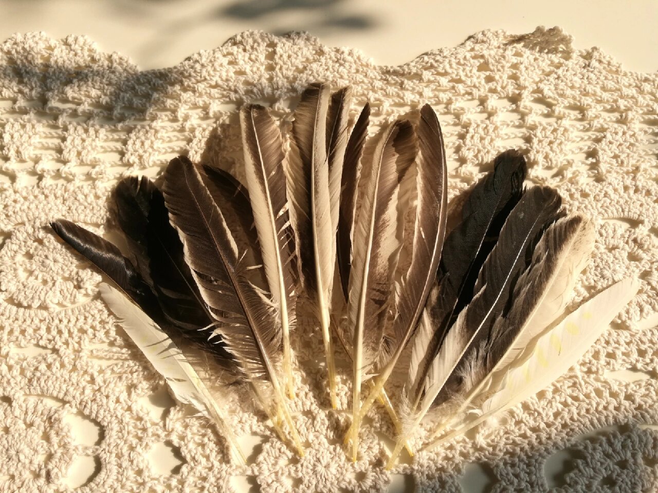 拿着鸡毛当令箭