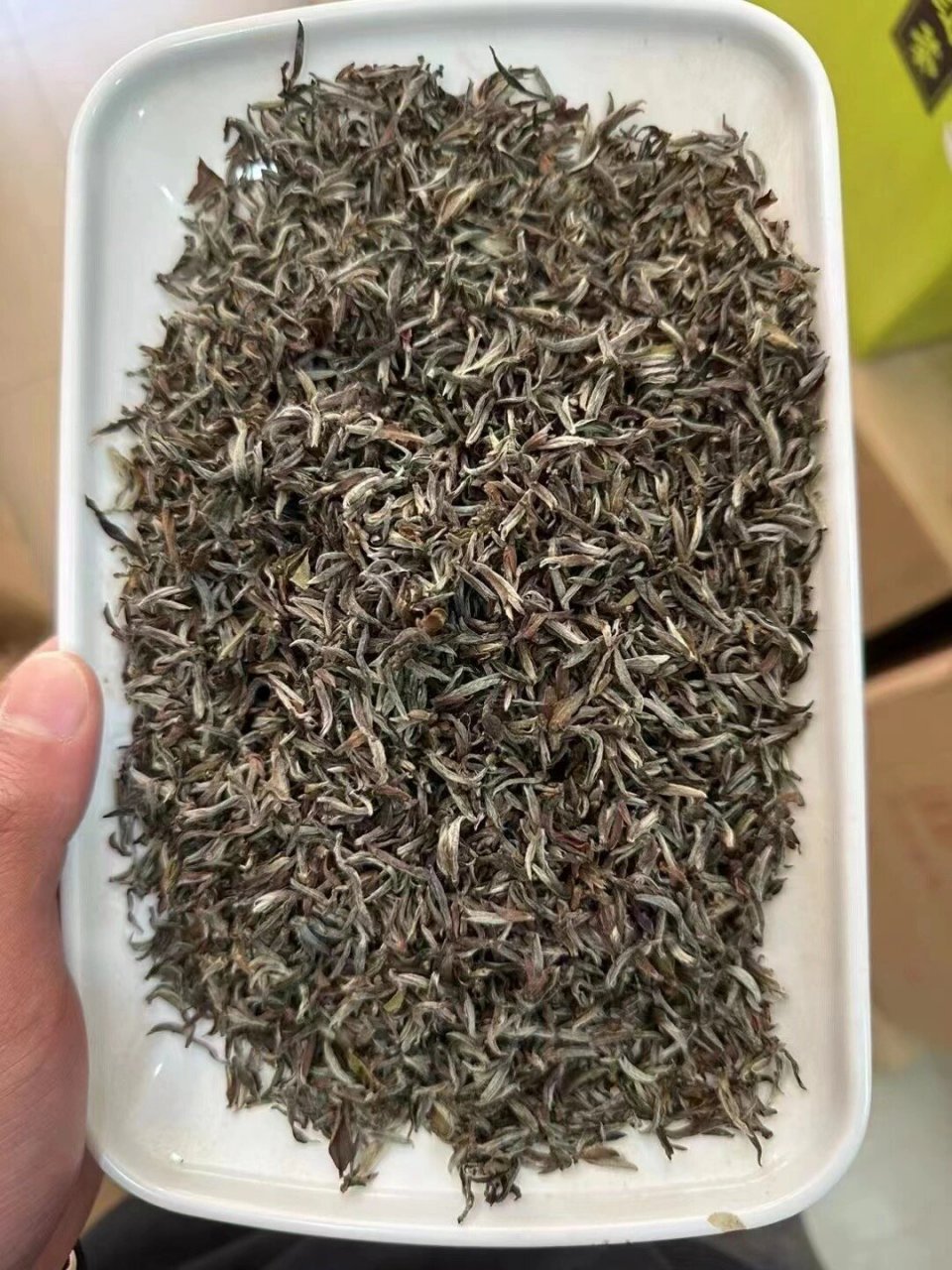 头采金骏眉 邮寄 净含量半斤装 ——952023春茶 黄金桂高山金骏眉