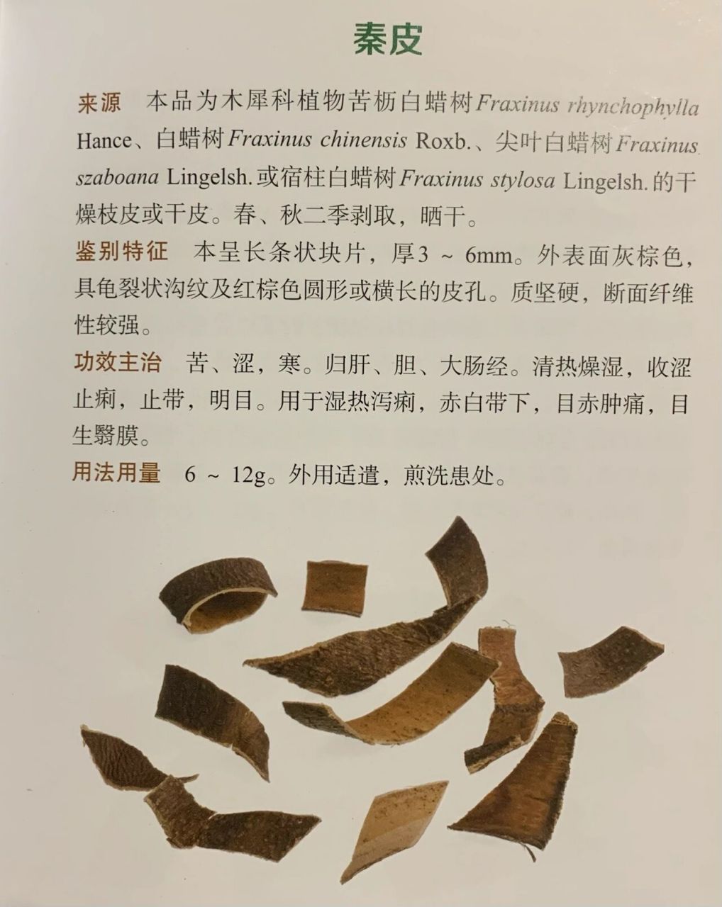 秦皮的功效与作用点图片