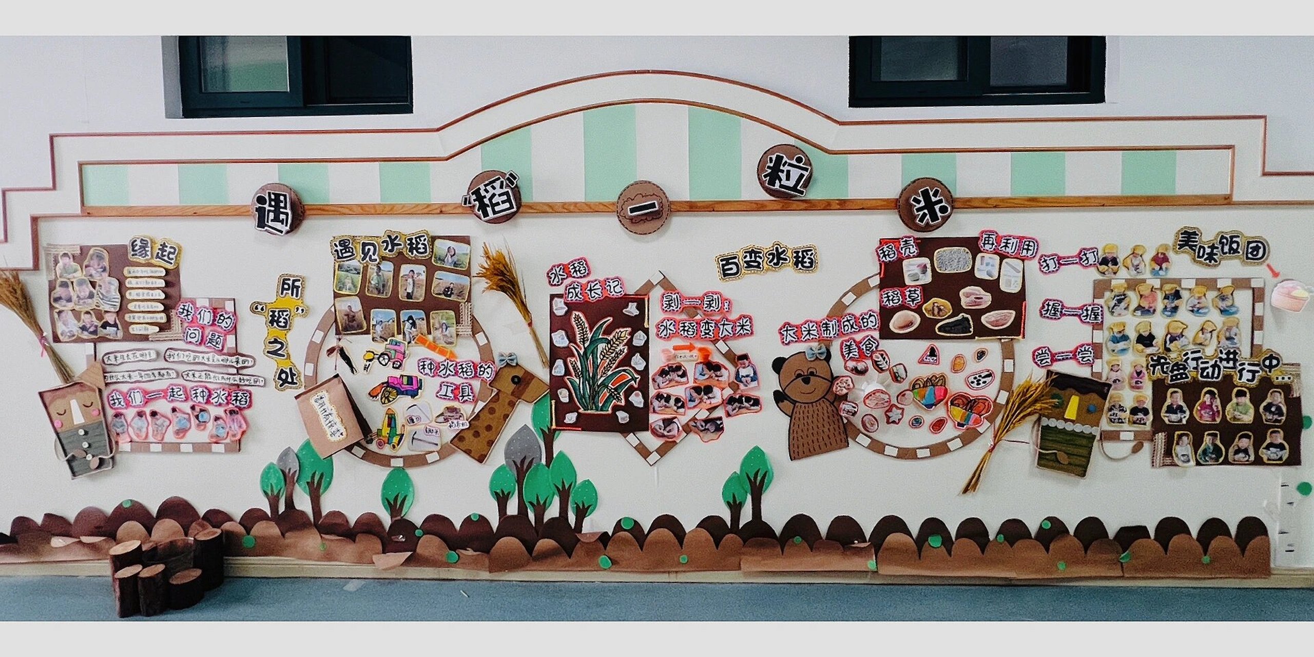 中班水稻系列主题墙   这学期是秋冬季节,小朋友们关于大米引发了一