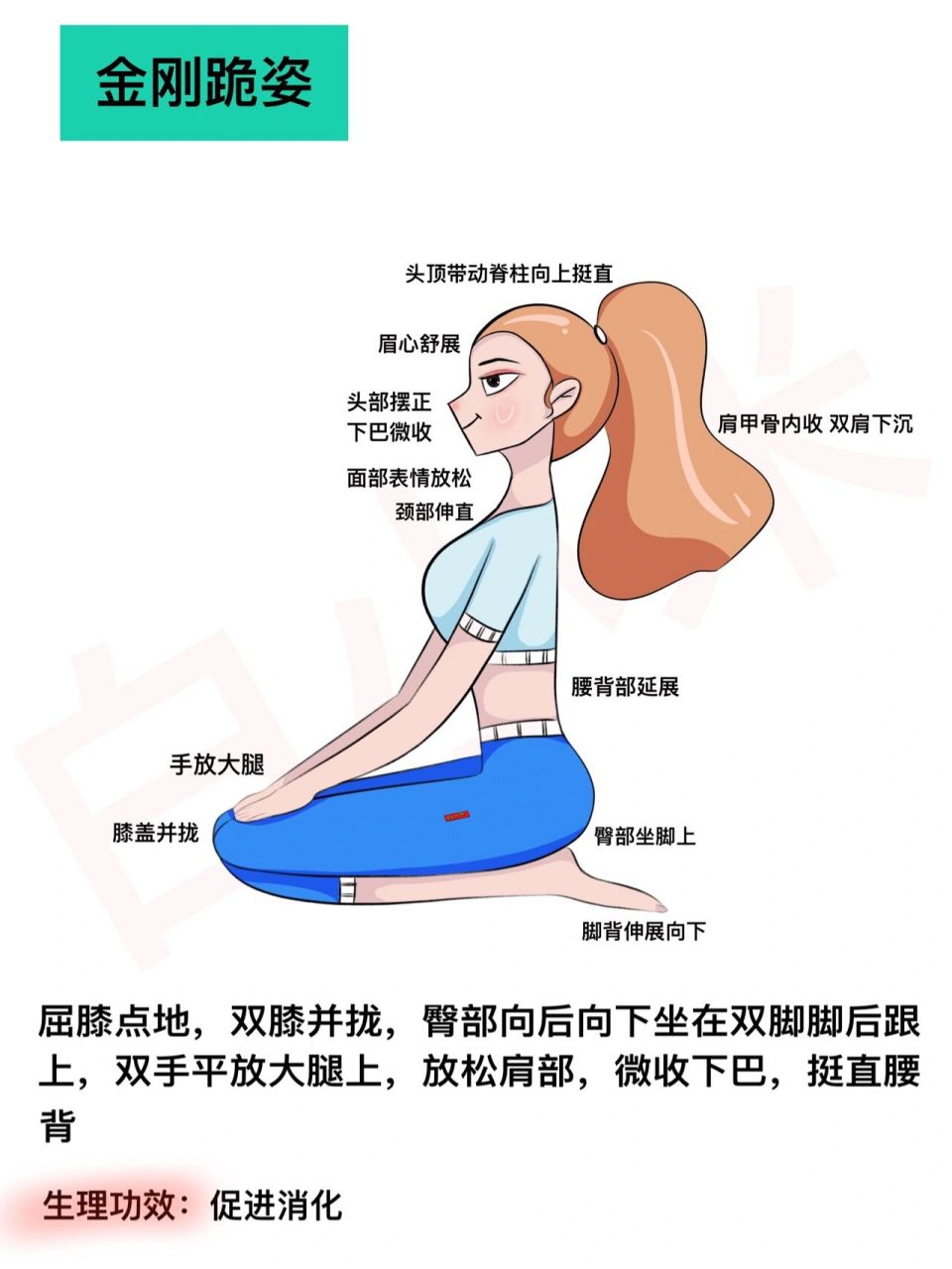 瑜伽插画|瑜伽体式|金刚跪姿 辅助:膝盖,脚背,脚踝处疼痛的,可以在