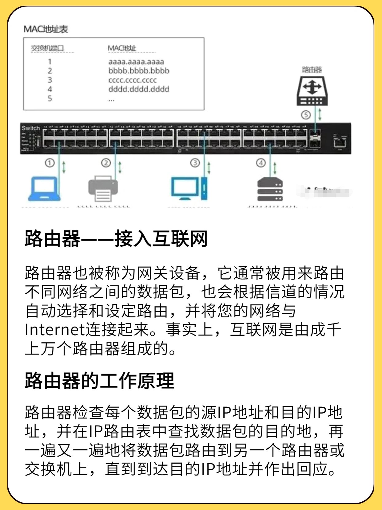 交换机和路由器的区别图片