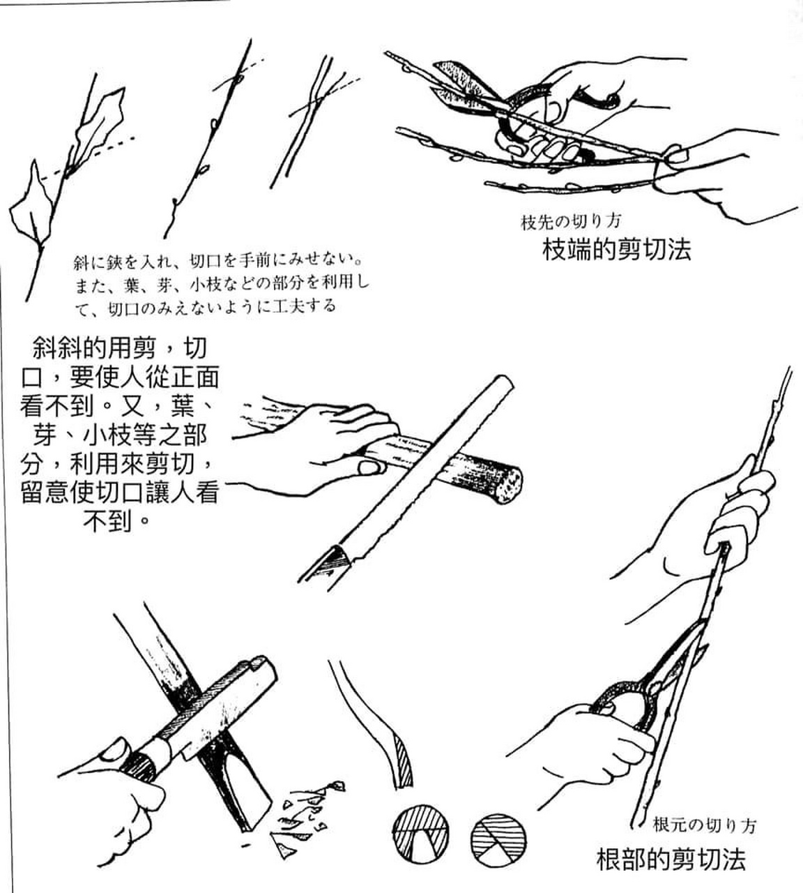 你真的会剪花吗|花朵草木修剪方法 花伝書入門p60 六,草木之處理的