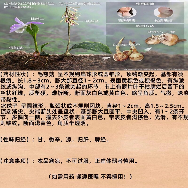 一泽识百草---山慈菇