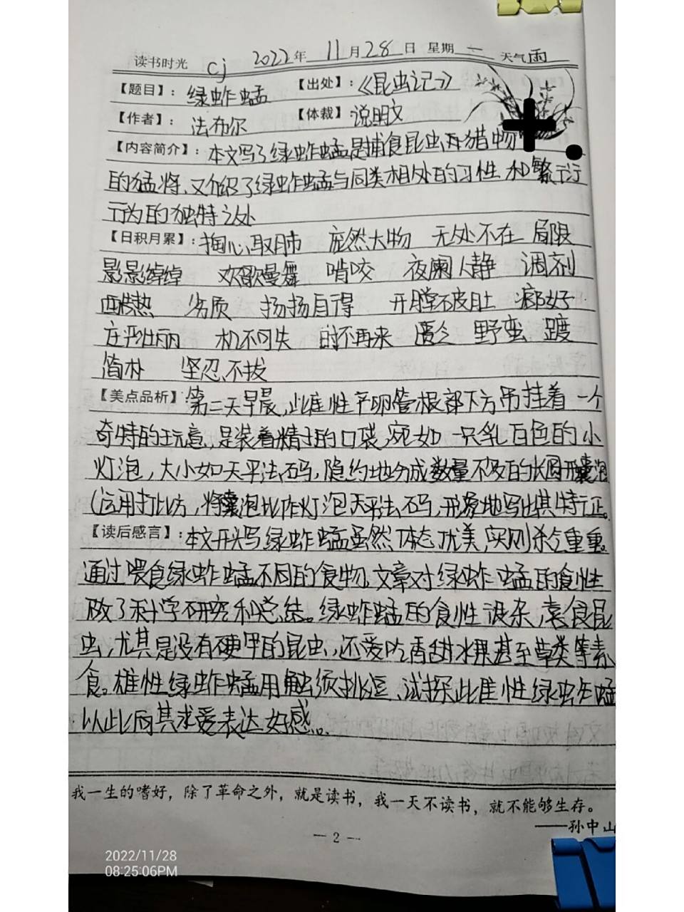 昆虫记读书笔记(绿蚱蜢)