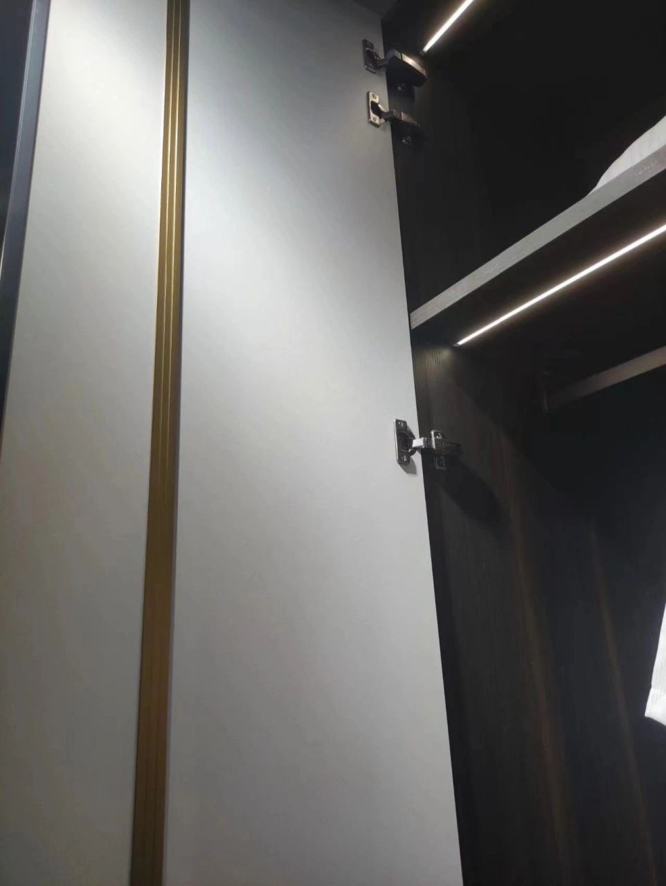 全屋定制|衣柜拉直器详解9215 全屋定制衣柜拉直器详情介绍93