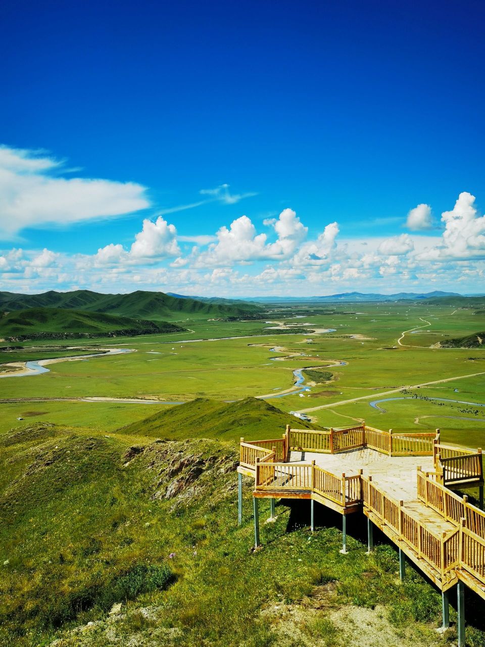 漫泽塘湿地——推荐川西/甘南线小众景点 今年夏天去了甘南环线,从