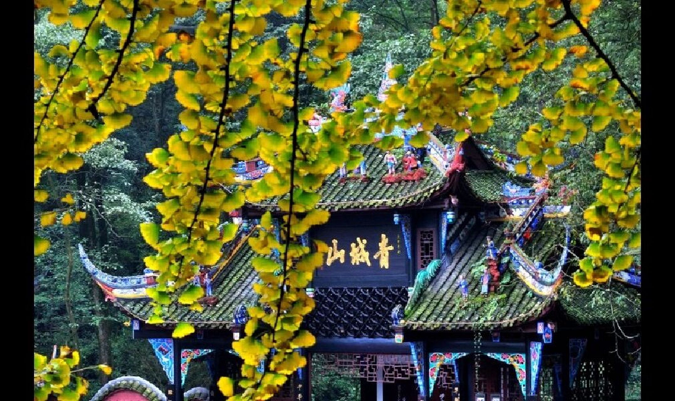 都江堰1日-2日游玩攻略 都江堰青城山作为国家5a级景区,世界文化遗产