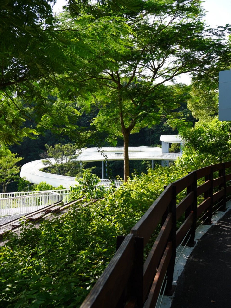 深圳光明大顶岭绿道|徒步人的不二之选 大顶岭绿道包括浮桥,探桥,虹桥