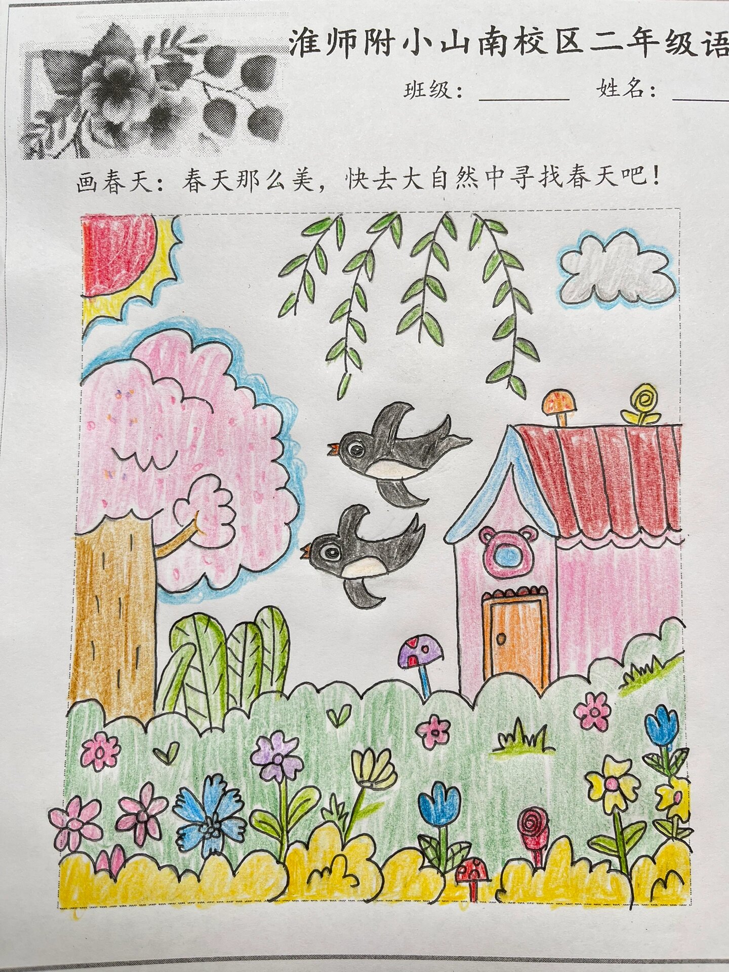 寻春简笔画图片