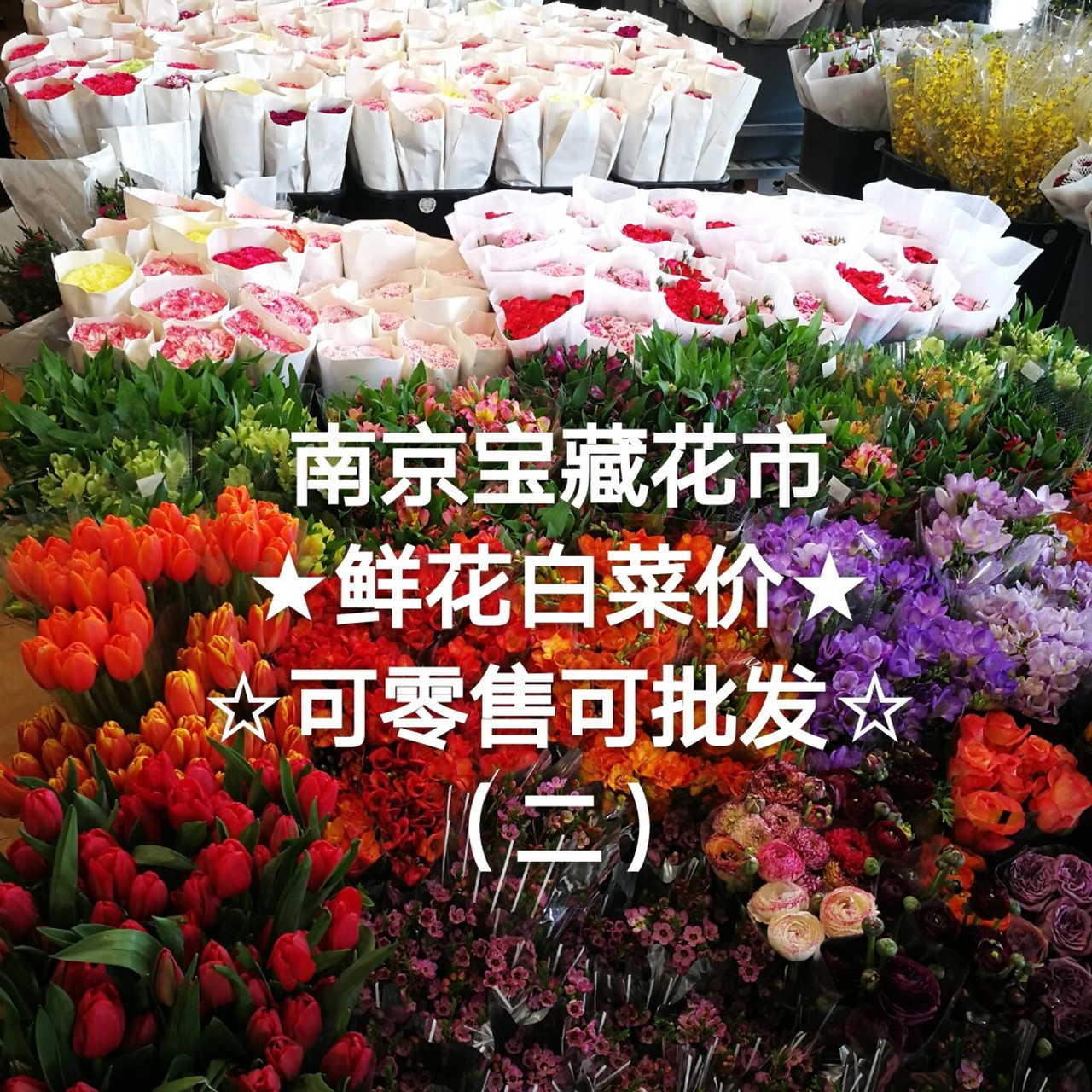南京两大宝藏花市(二),鲜花白菜价可零售 探秘南京两个最大花卉市场
