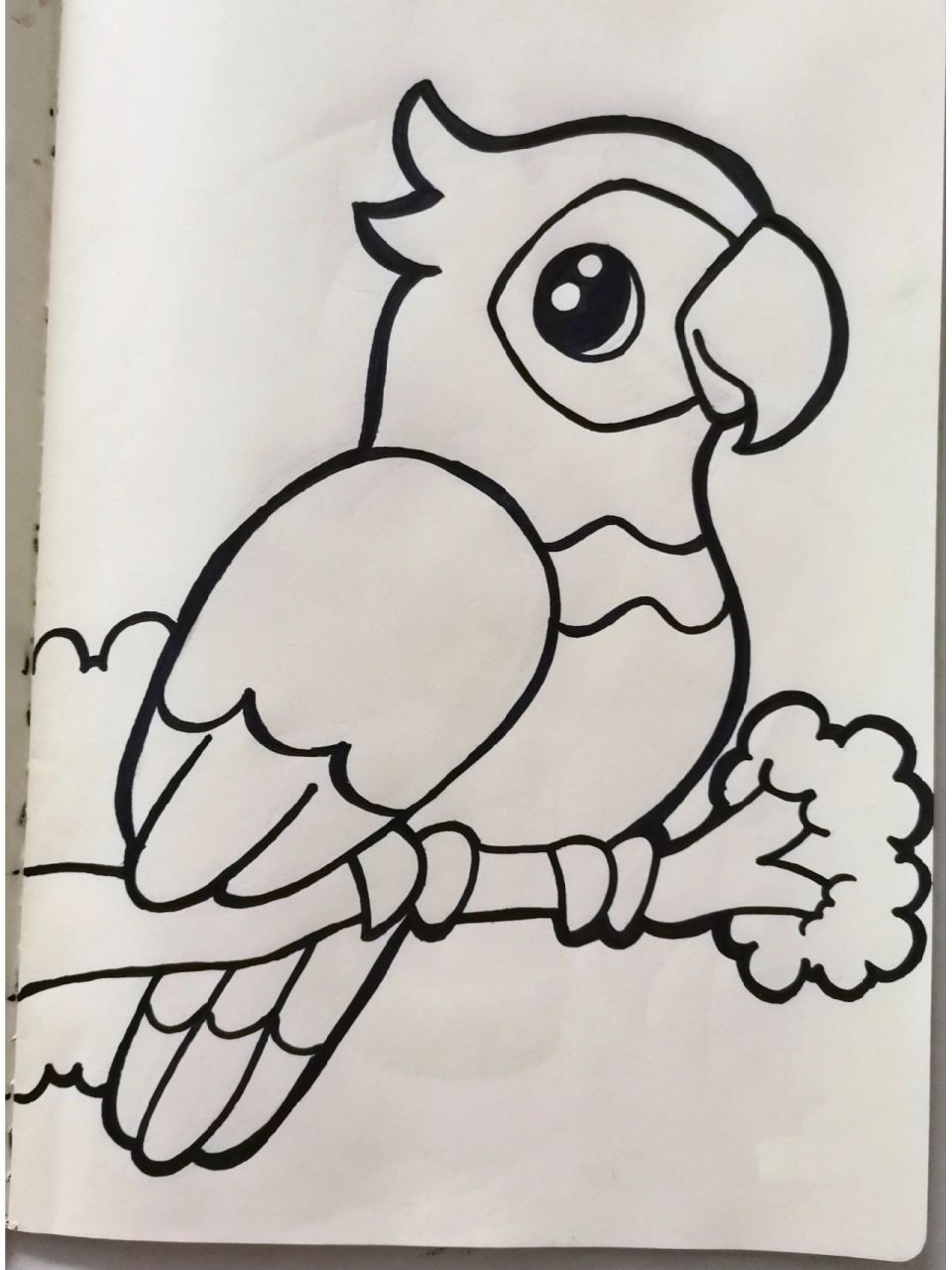 绿色小鹦鹉简笔画