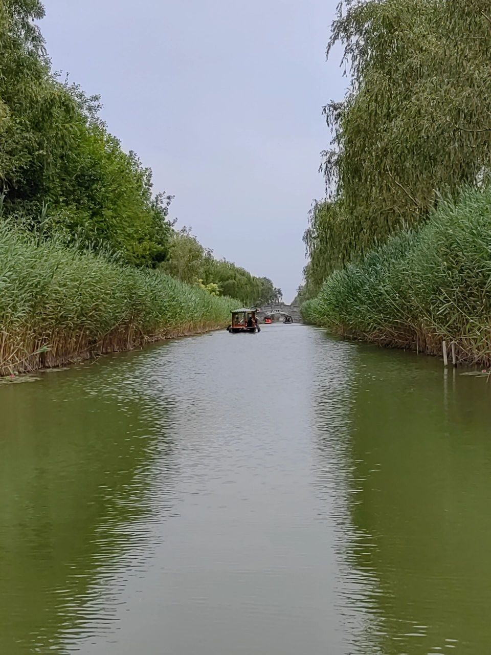 马踏湖湿地公园 当我去了淄博市桓台区马踏湖——小江南好风景94真