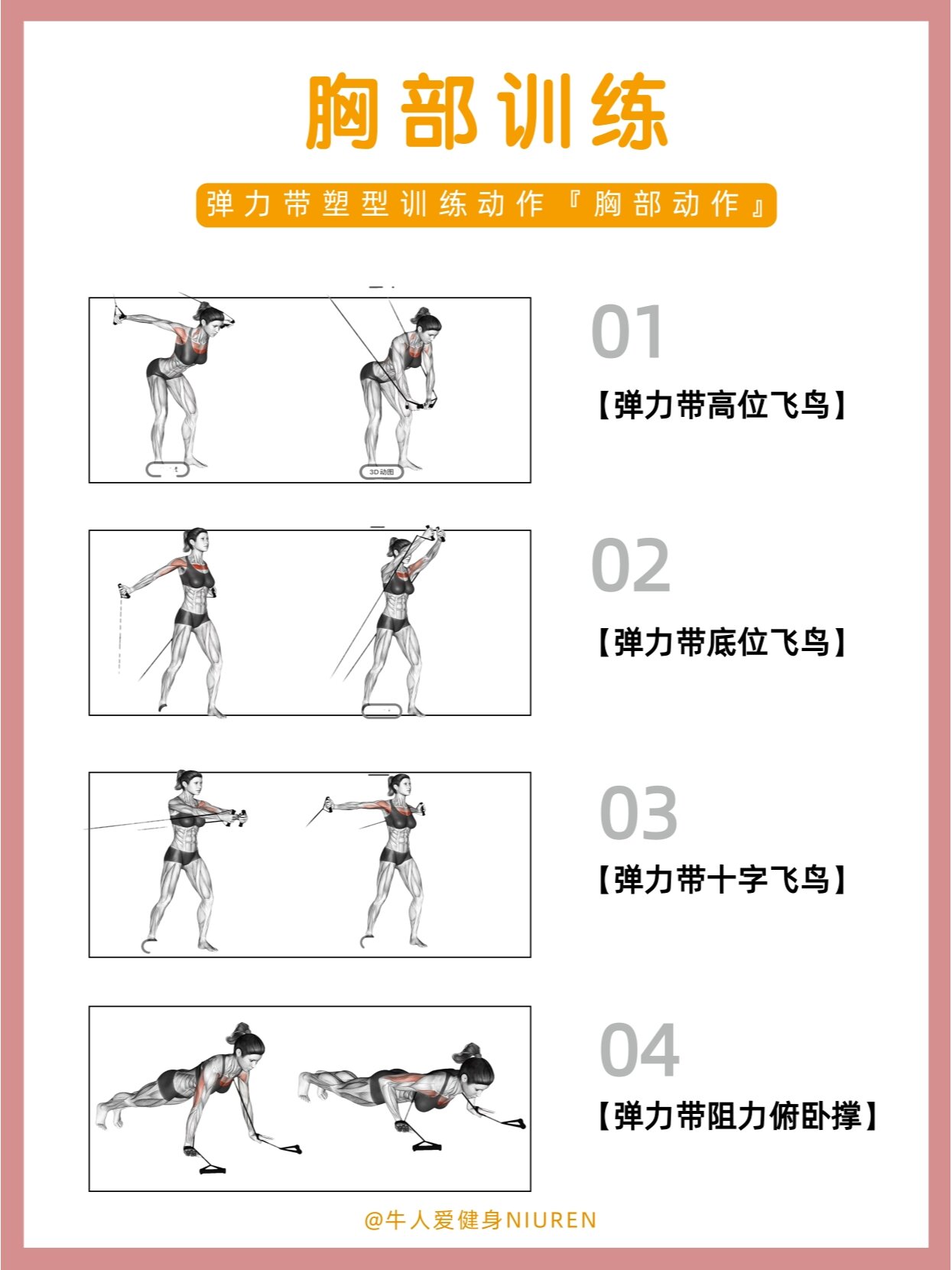 弹力带健身经典训练动作合集