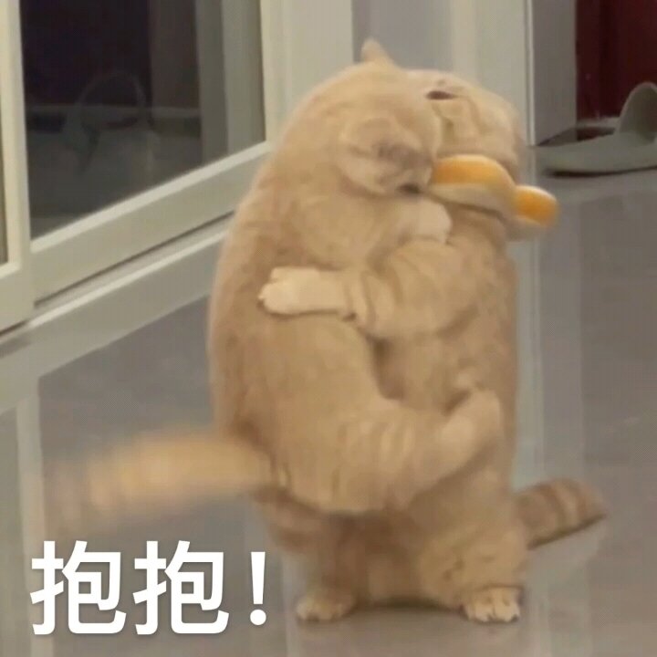 表情包情侣可爱猫猫抱抱撒娇