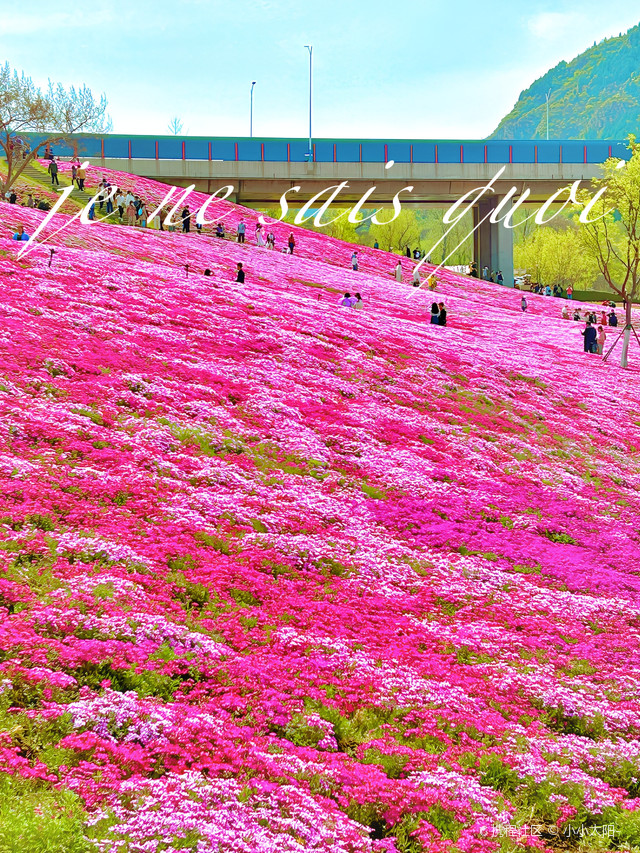 龙洞花海地址图片