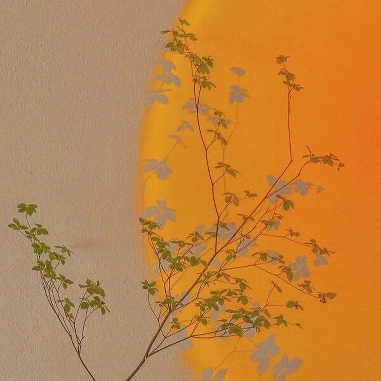 一组橙色系朋友圈背景图 遇见你爱意汹涌,看世间万物都浪漫心动78
