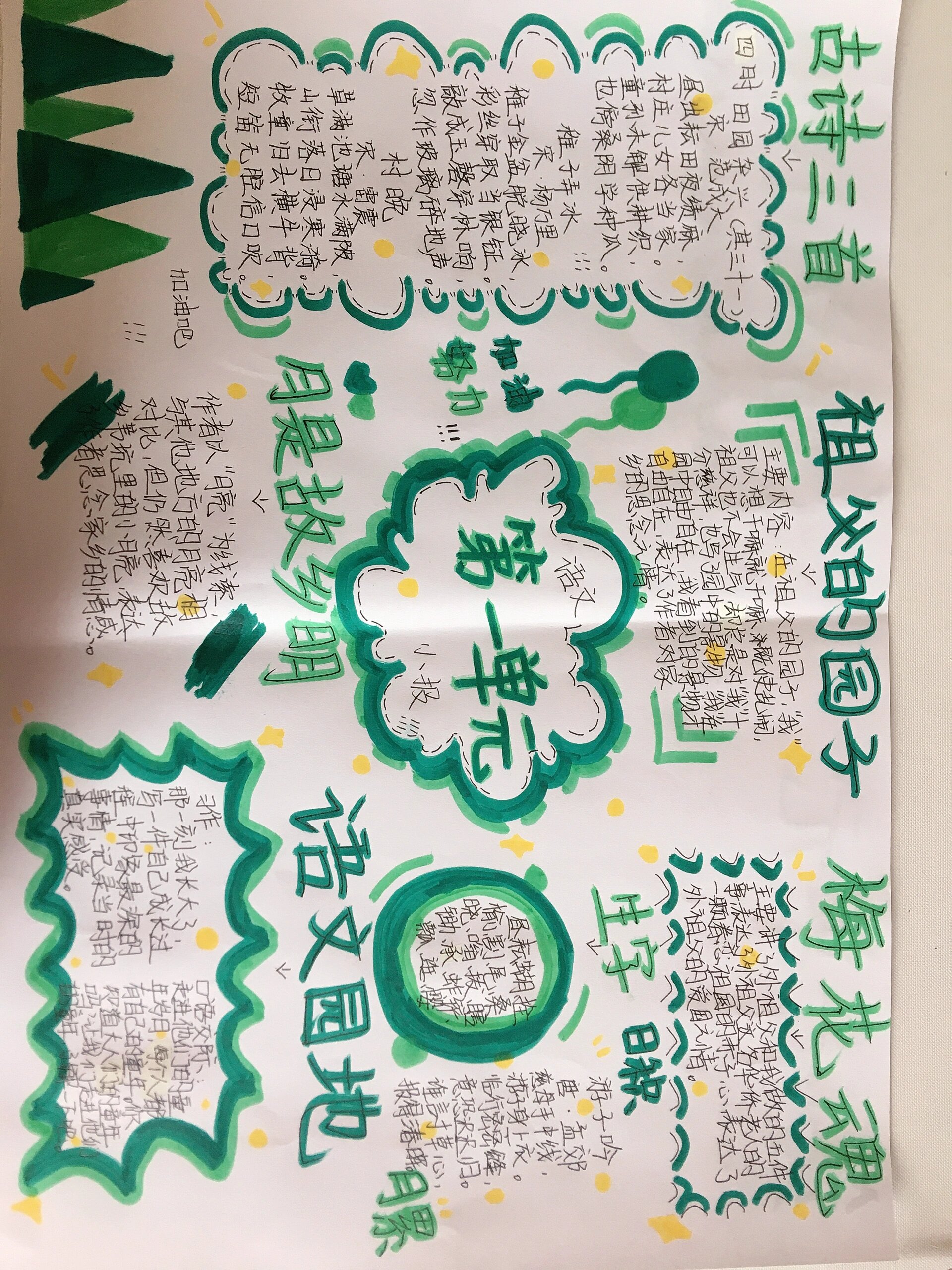 五下第一单元语文小报