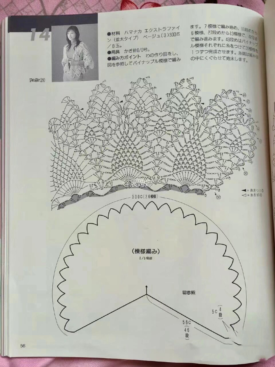 一条非常喜欢的菠萝花围巾(附图解)