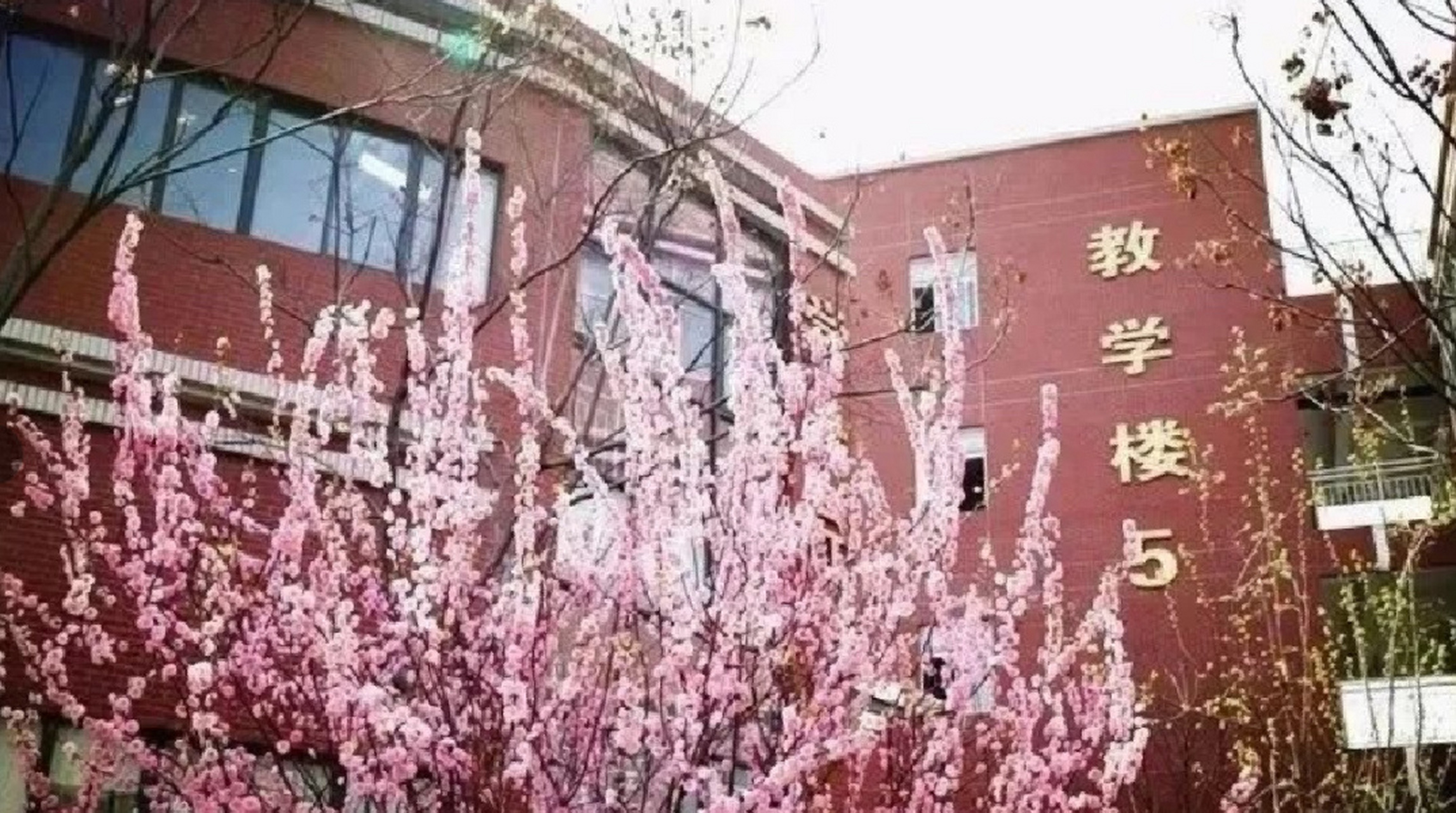 西安铁一中滨河学校 西安铁一中滨河学校,是西安铁一中教育集团管理