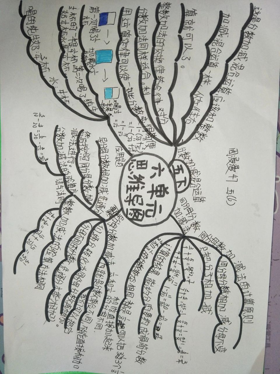 新鲜出炉的五下数学六单元思维导图