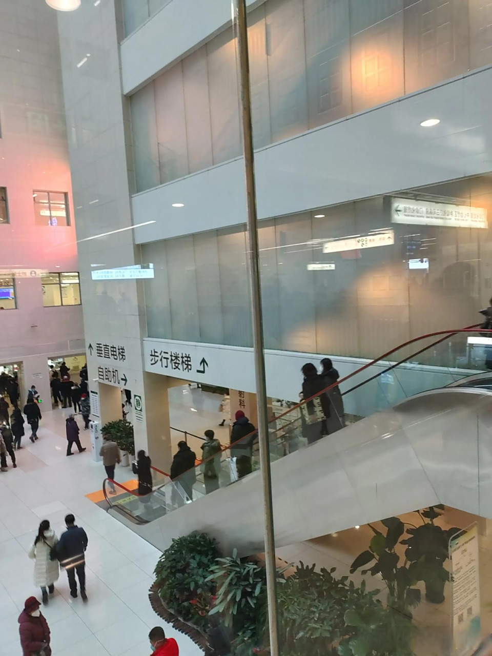 北京协和医院、朝阳区黄牛票贩子号贩子联系电话的简单介绍