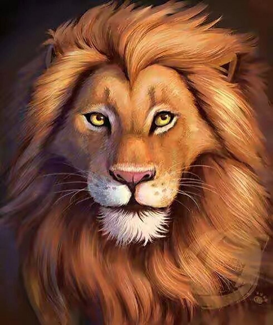狮子素材图