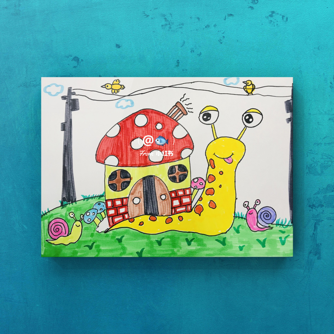 蜗牛的畅想 96的壳像背着的房子 通过蜗牛房子的主题 畅想蜗牛的