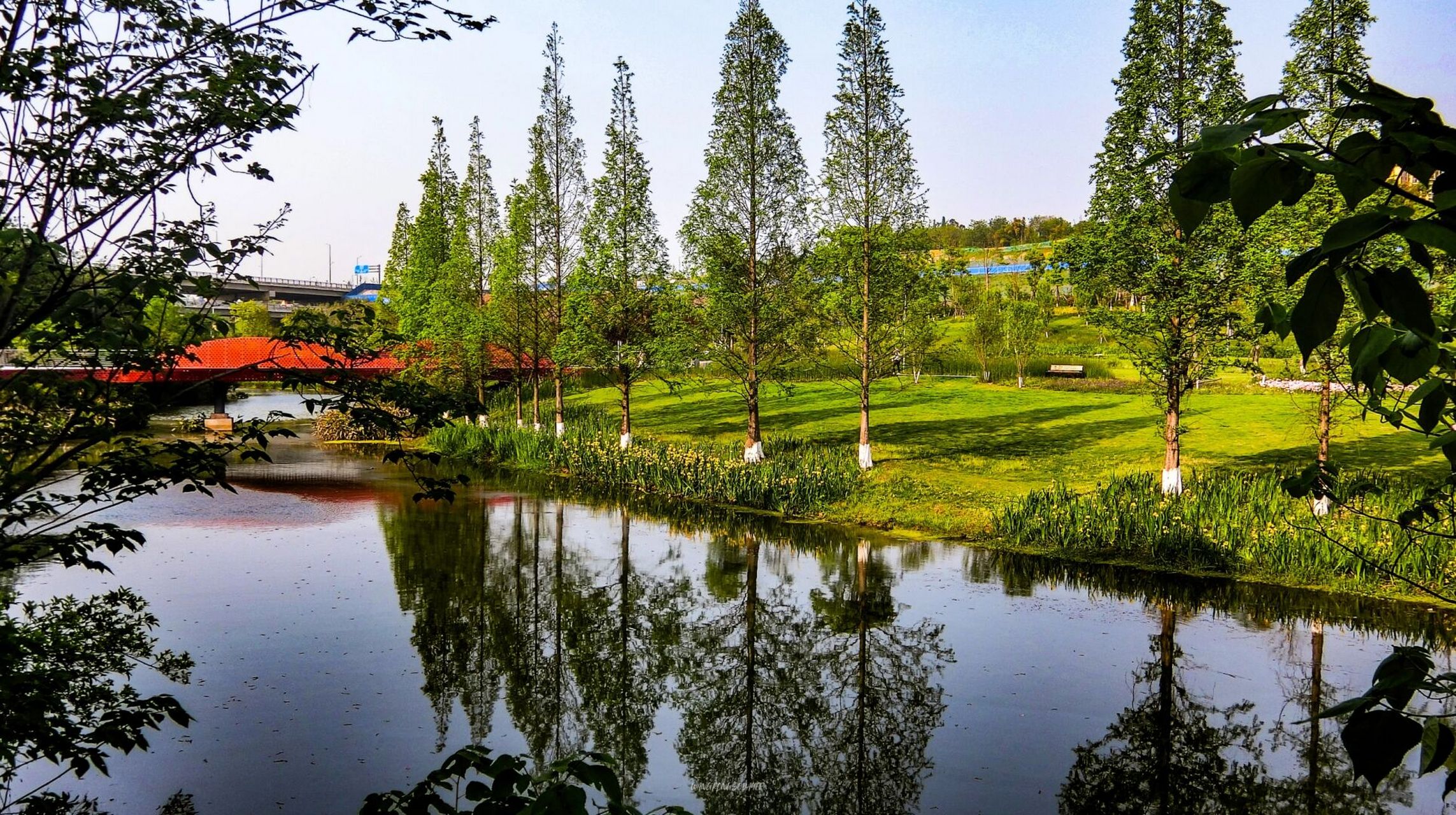 漫步绿道,吸收氧气-泸州龙涧溪公园 在忙碌的城市生活中,逃离喧嚣