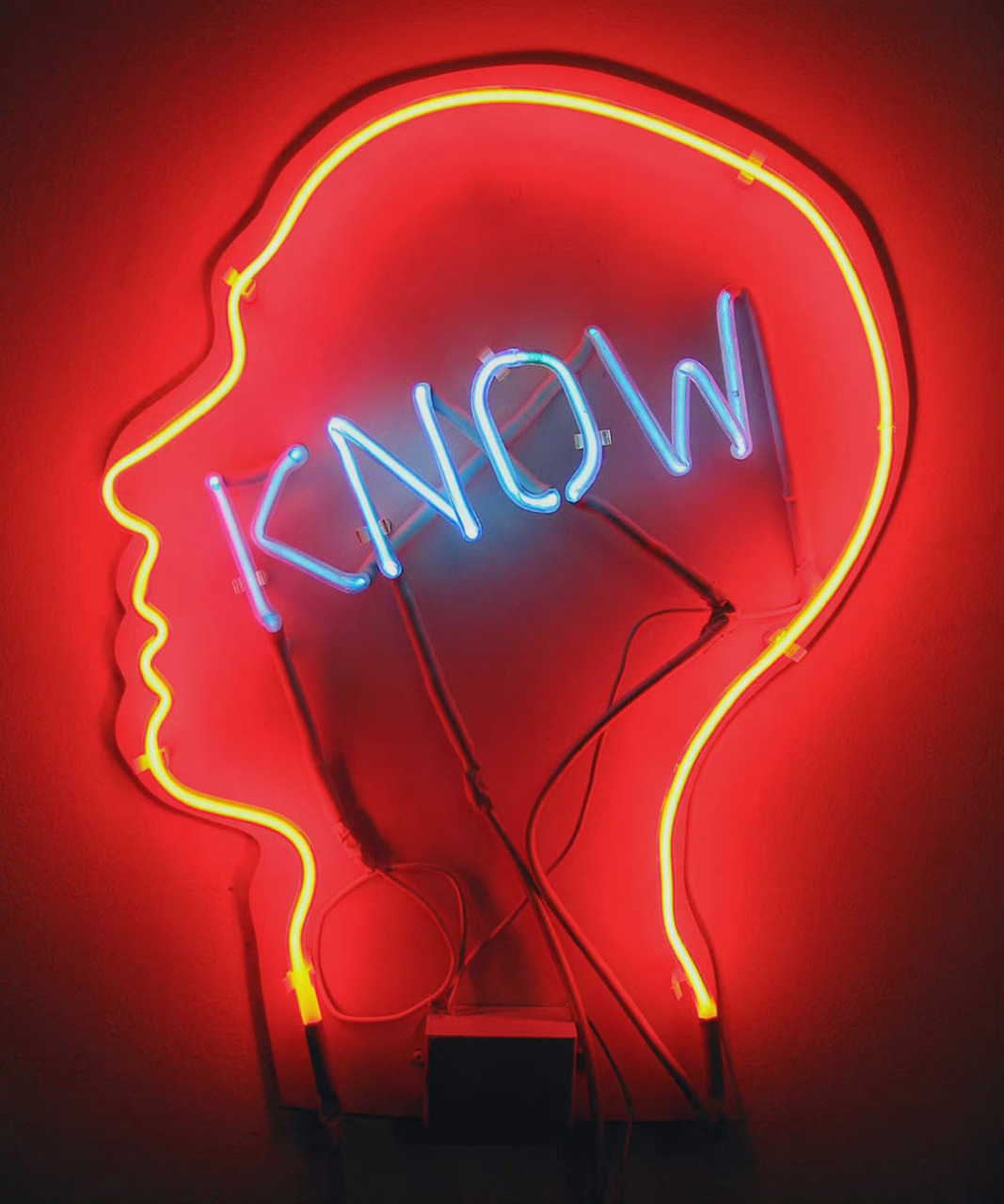 艺术有毒#   艺术家|bruce nauman  霓虹灯下的先锋艺术  #艺术有 