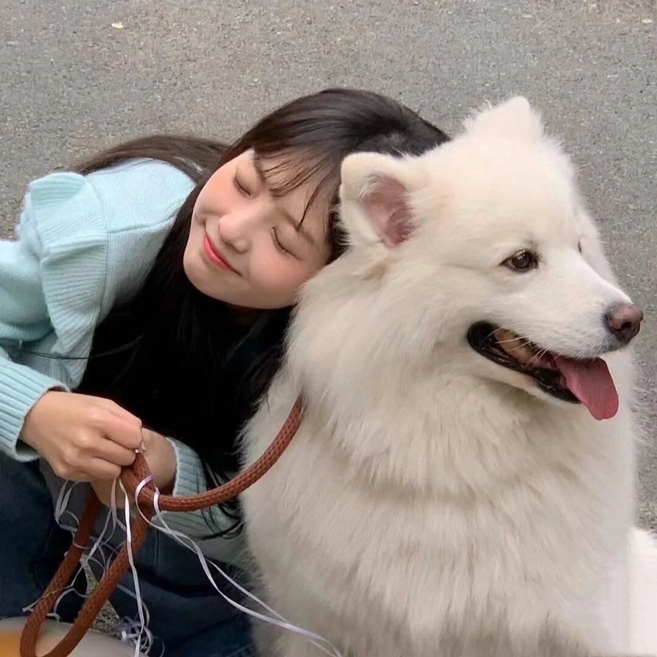 人和狗狗的头像