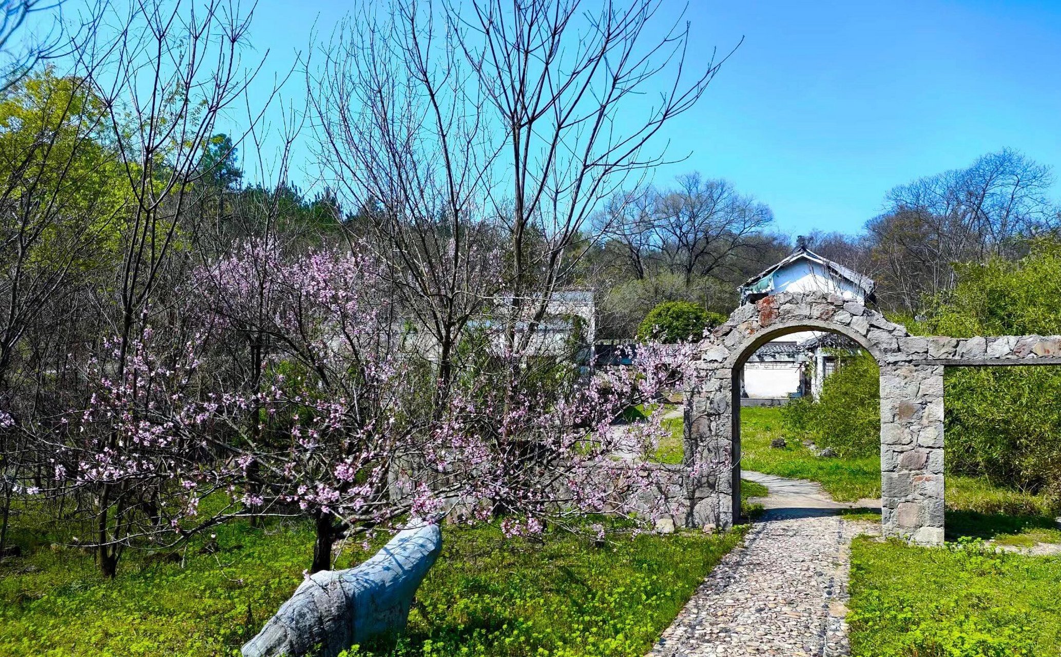 江宁将军山,人少风景好!