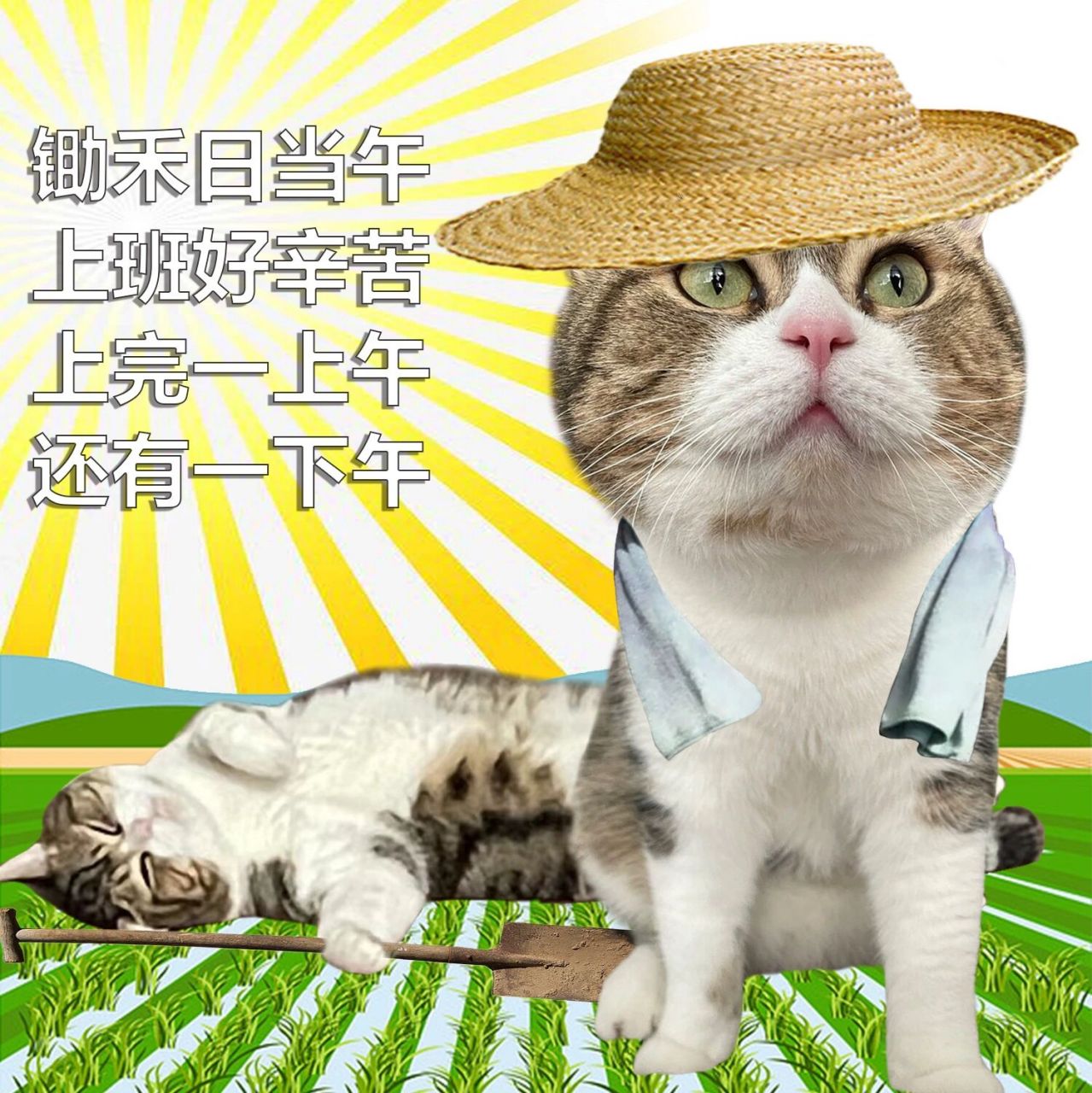 打工人表情包:锄禾日当午,上班好辛苦               上完一上午,还有